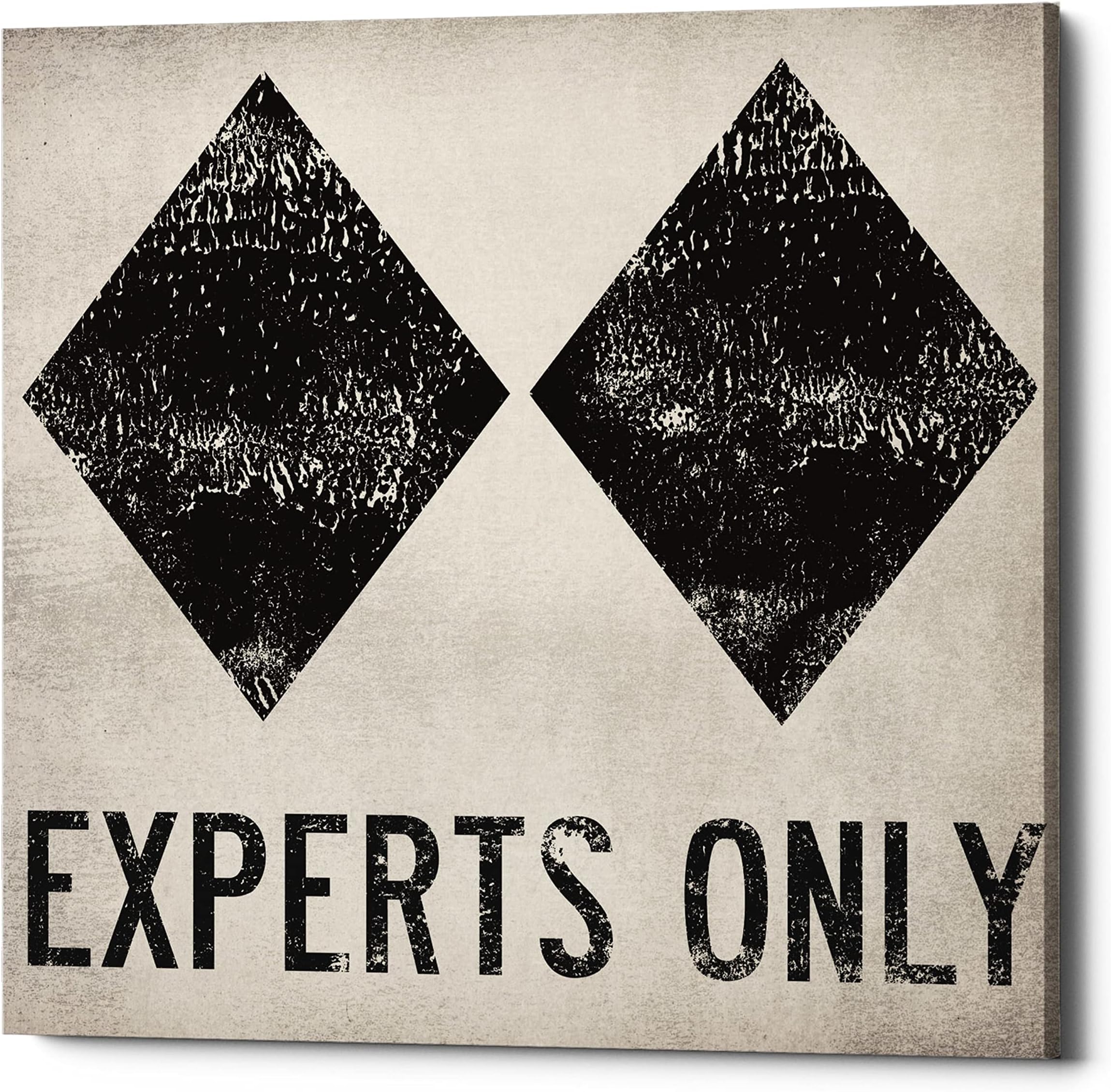 Epic Graffiti 'Experts Only White' by Ryan Fowler, Canvas Wall Art, 26"x26"