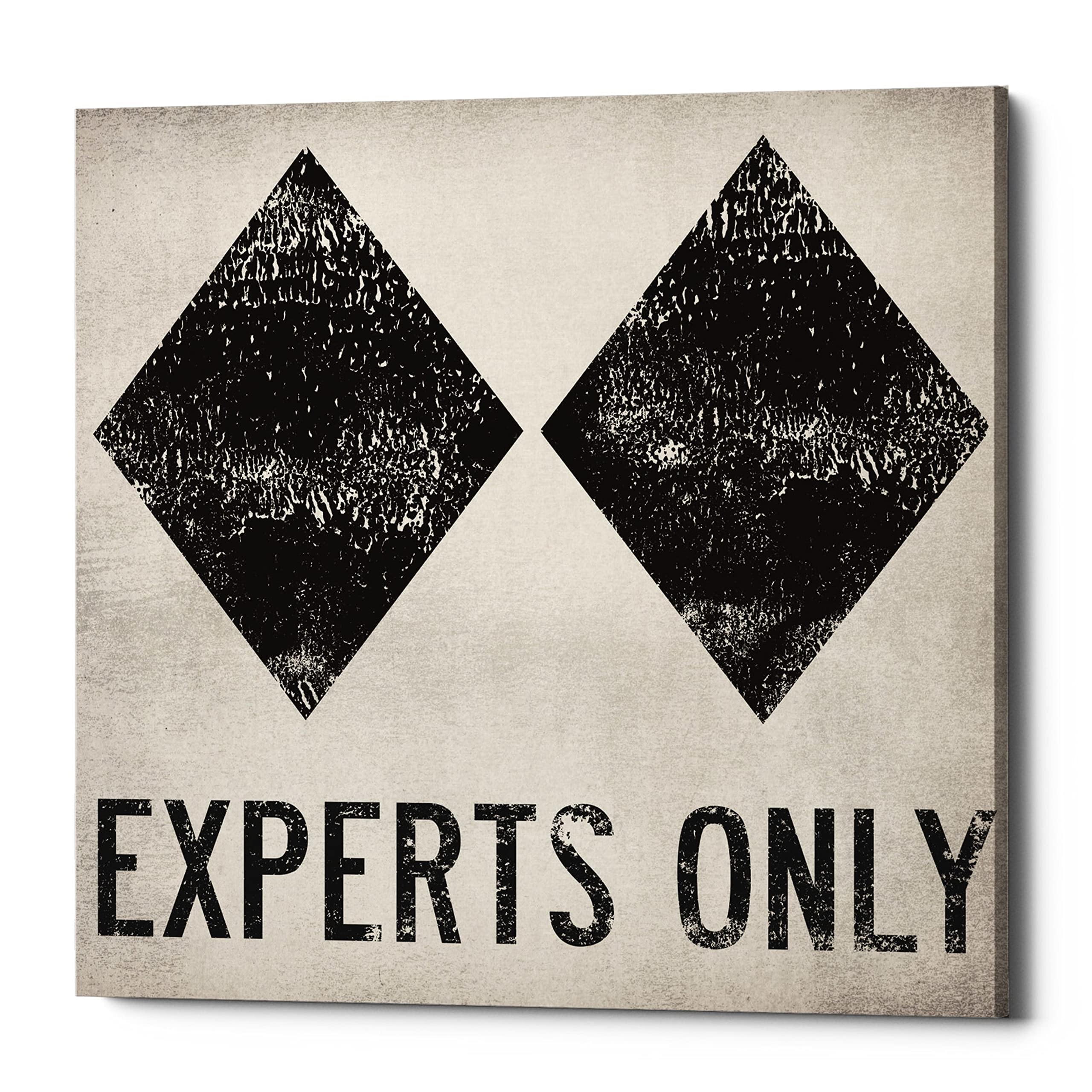 Epic Graffiti 'Experts Only White' by Ryan Fowler, Canvas Wall Art, 26"x26"