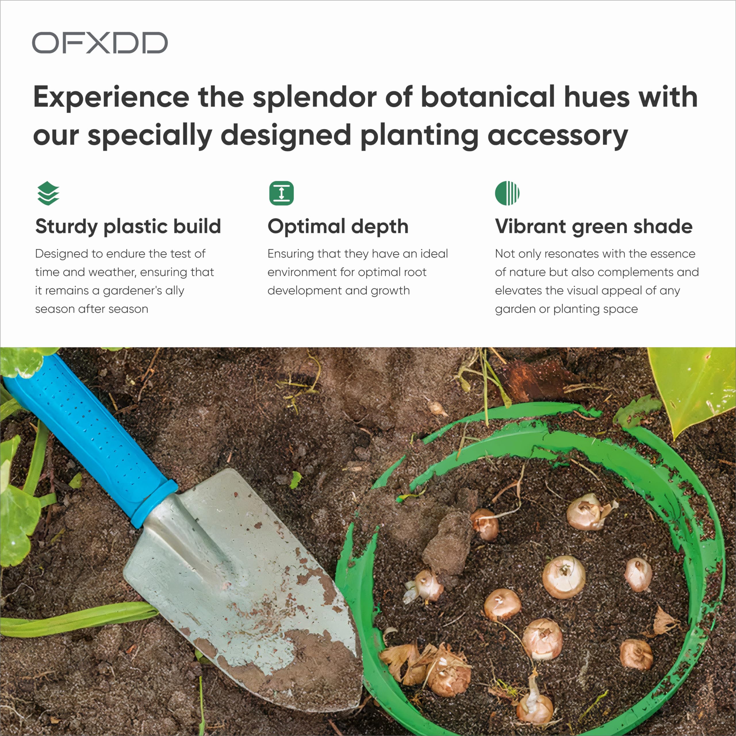 Lot de 6 plateaux de plantation pour oignons - Plateaux en plastique pour bulbes à fleurs - Plateaux de semis réutilisables pour le jardinage, 29 cm