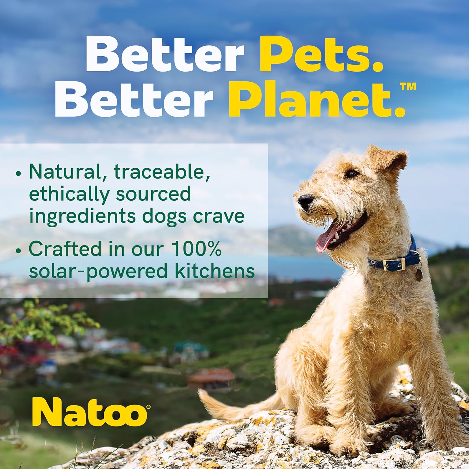NATOO Dog Food Topper for Picky Eaters & Dog Treat (Chicken with Sweet Potato & Broccoli), Dog Toppers for Dry Food, Wet Meal Toppers for Dogs & Puppies, Limited Ingredient Dog Food, 3 oz (Case of 20)