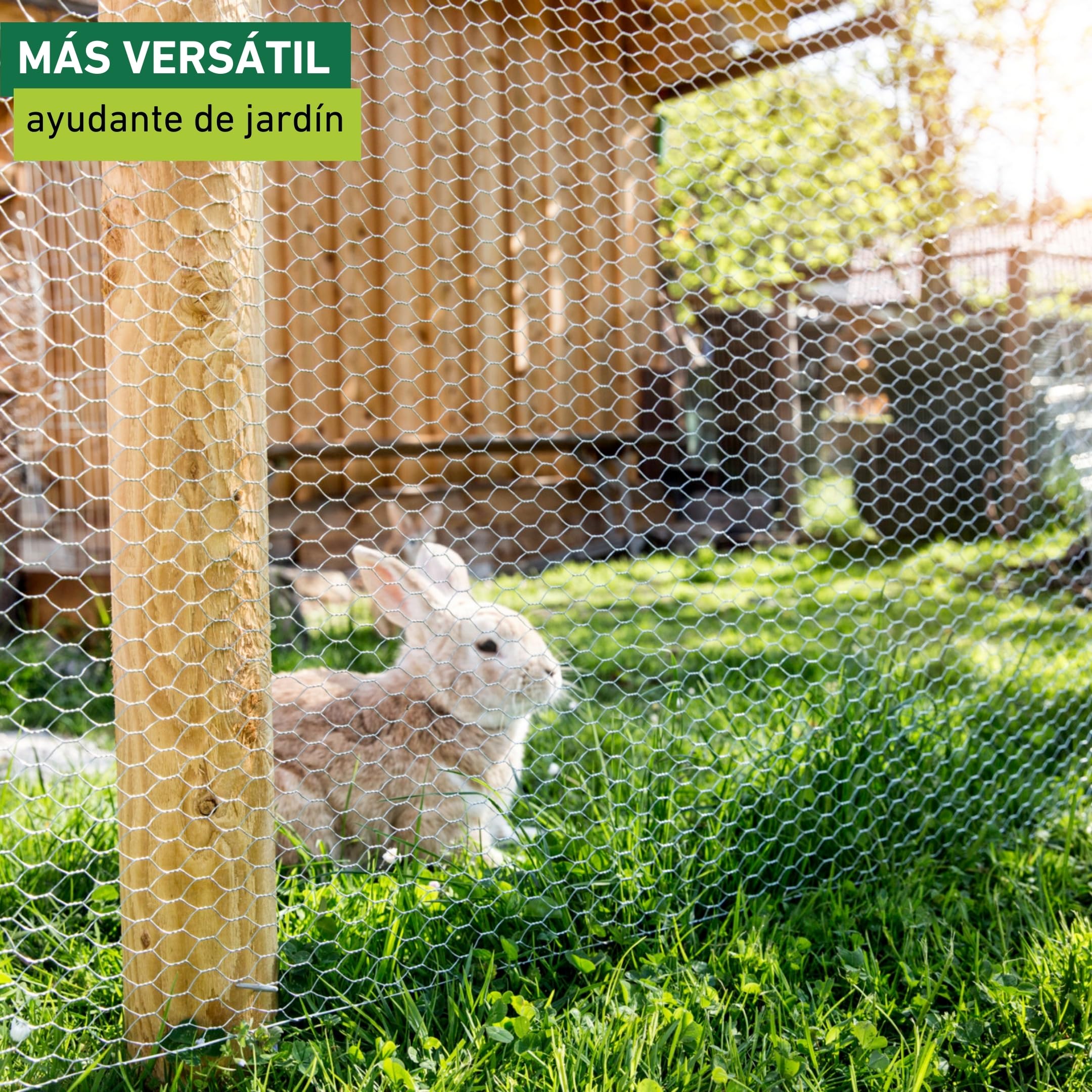 Windhager Malla galvanizada para Animales pequeños, 1 x 10 m