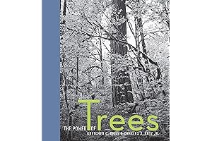 Power of Trees: Comprehensive Guide to Natural Healing