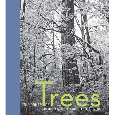 Power of Trees: Comprehensive Guide to Natural Healing
