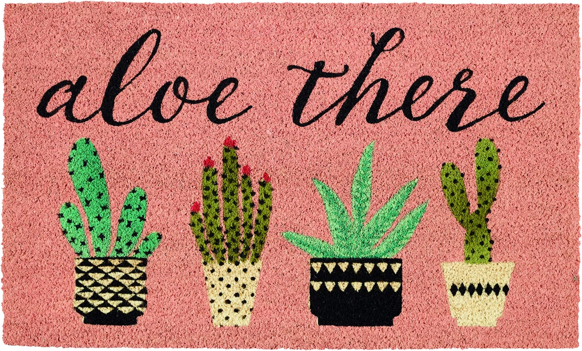 DII Natural Coir Doormat, Decorative Hello Mat, 17x29, Aloe There