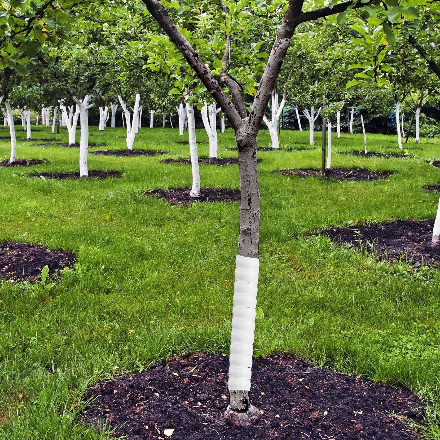 Wesiti 20 Pcs Tree Trunk Protector Plastic Spiral Trunk Tree Wrap Guard Bark Tube Protectors to Protect Bark Saplings from Deer Cats Rodents Rabbit Mowers (White)