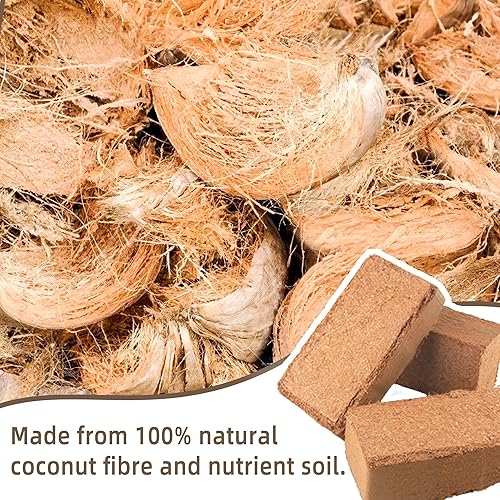 Miniatura 2 de Fibra de coco para fibra de coco orgánica, paquete de 2 ladrillos de coco de coco - Suelo de coco con bajo equilibrio de EC y pH - Fibra de coco