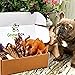 Gnaw Box – Nature Gnaws Dog Chew Treats - Subscription Box: Large Dog GnawBox