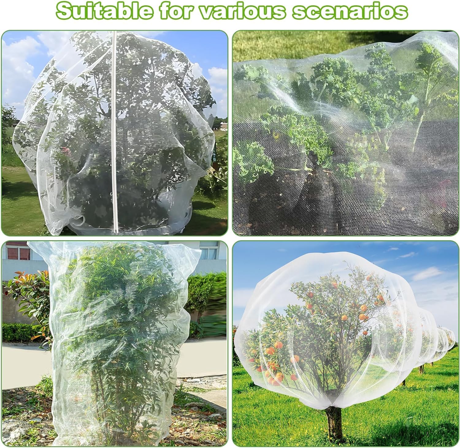 Rete in Nylon per alberi da frutto, rete di protezione vegetale