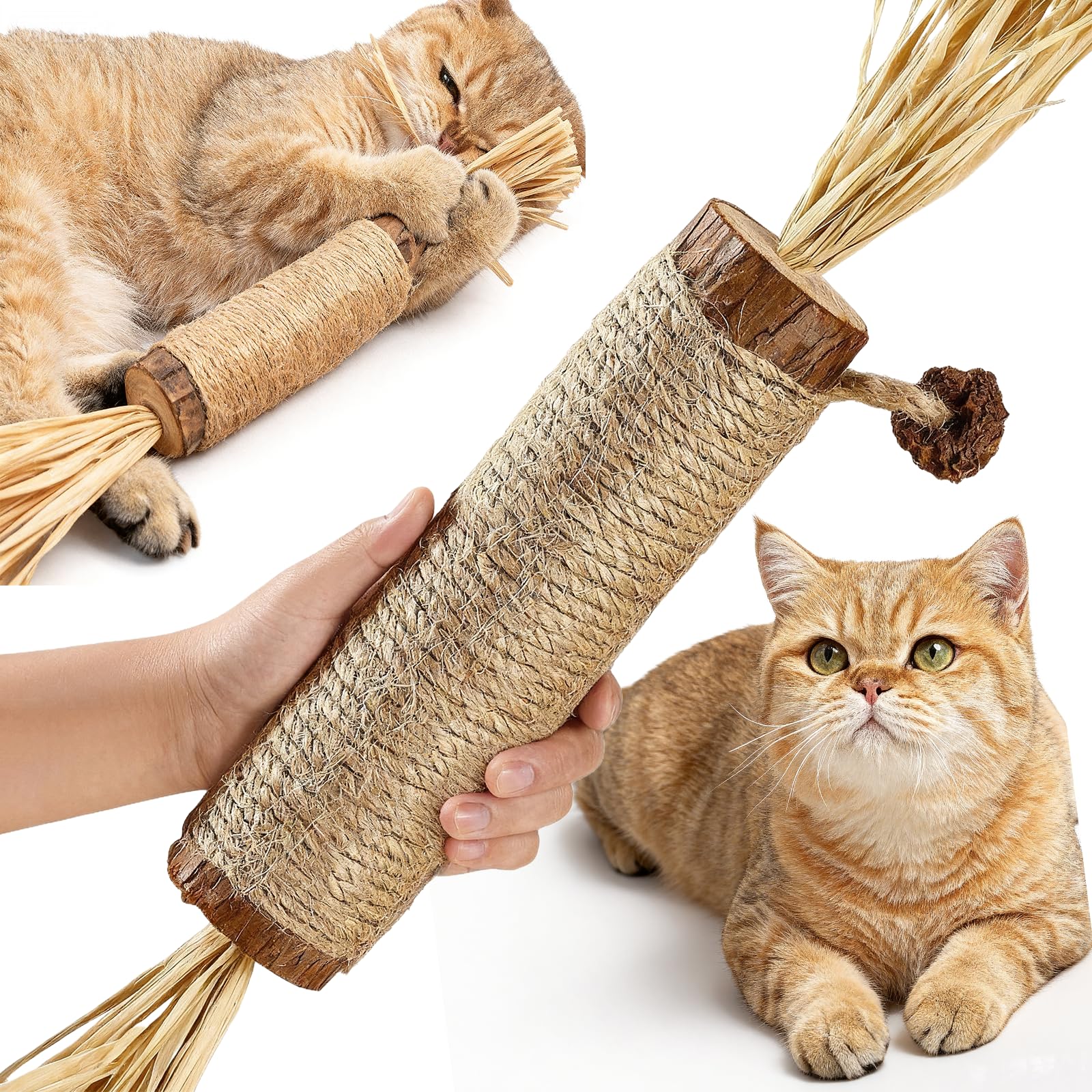 Donubiiu Silvervine Dental Sticks for Cats–Upgraded Thick & Long Design,2026 New Silvervine for Cats,Natural Catnip Chew Toys for Kittens Teeth Cleaning,Silvervine Sticks Cat Toys (1PC)