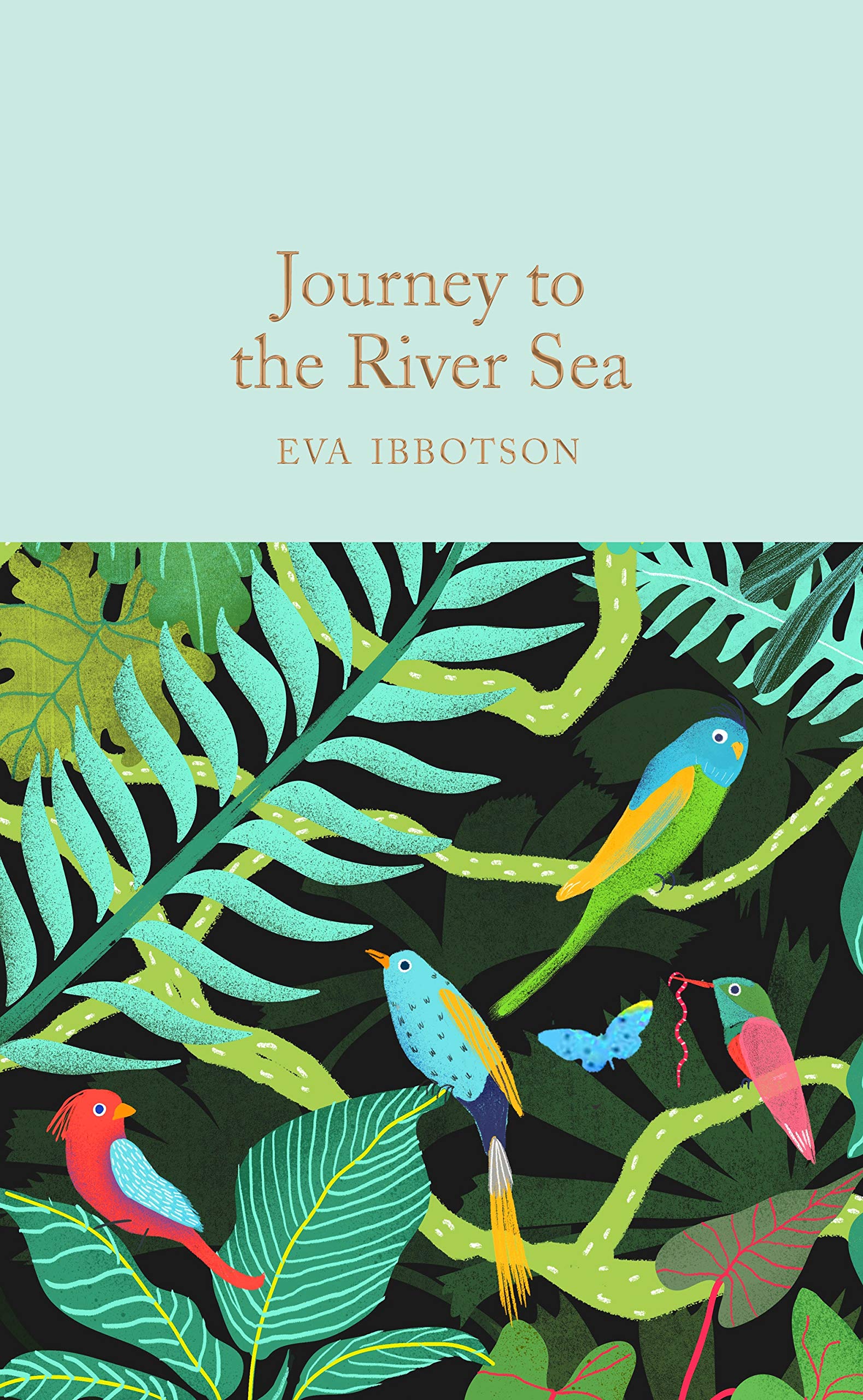Journey to the River Sea by Eva Ibbotson, Lauren St John - 9781529059359