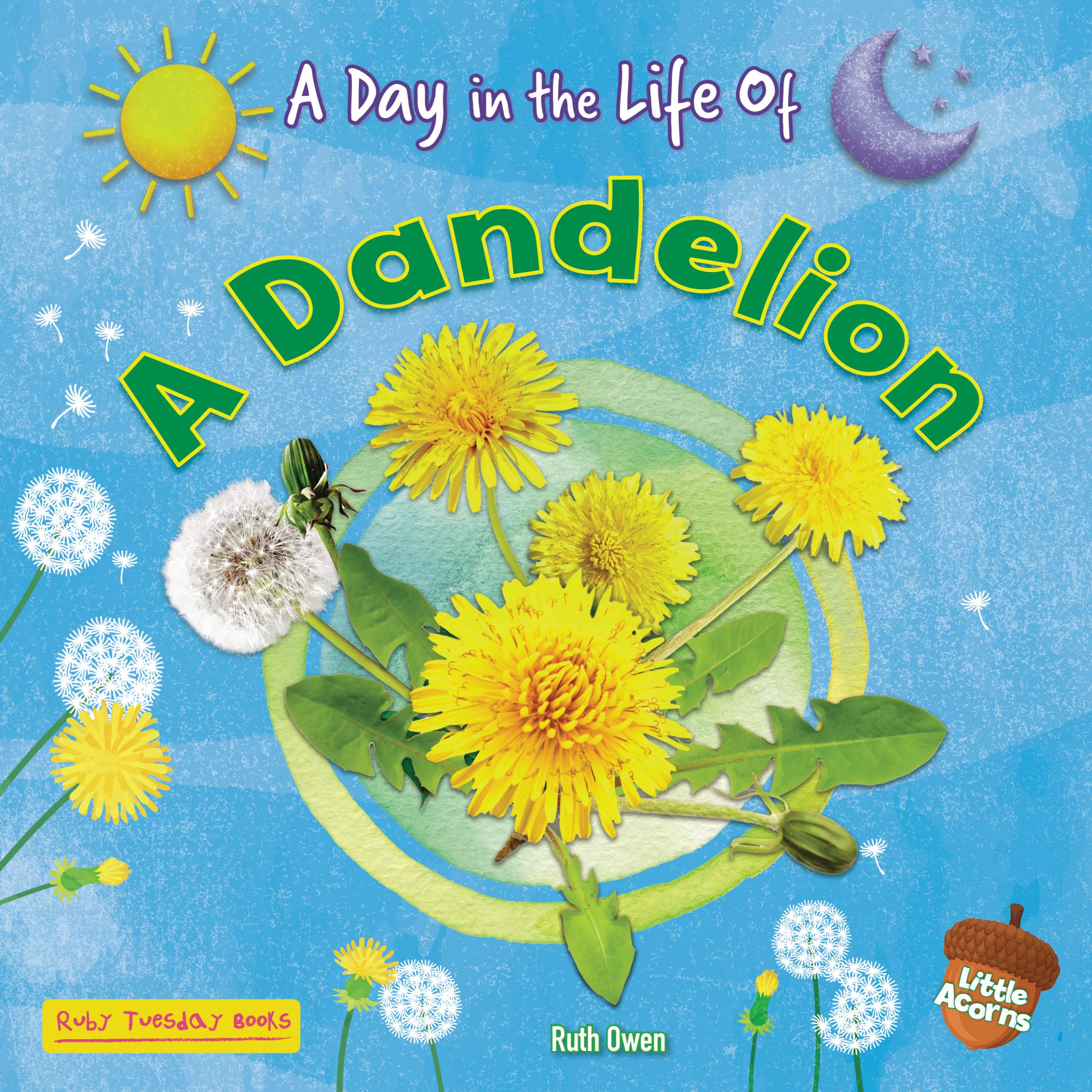 A Dandelion (A Day in the Life Of)