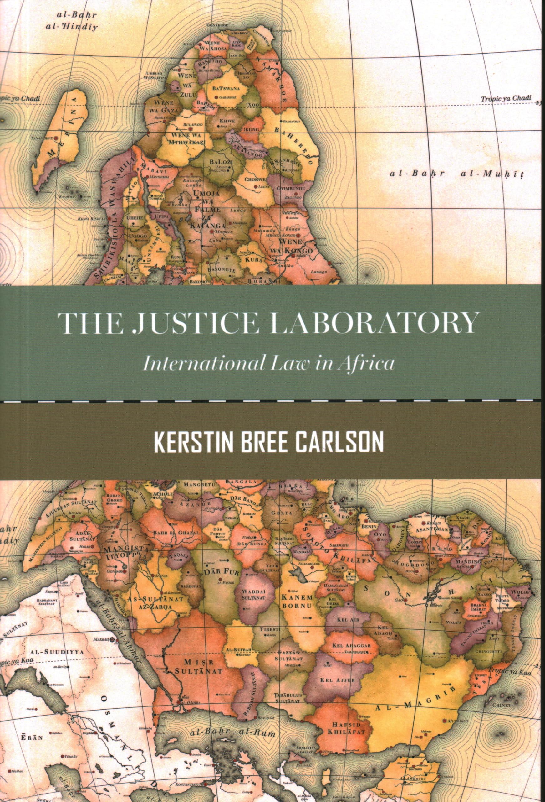 The Justice Laboratory: International Law in Africa (Insights: Critical Thinking on International Affairs)