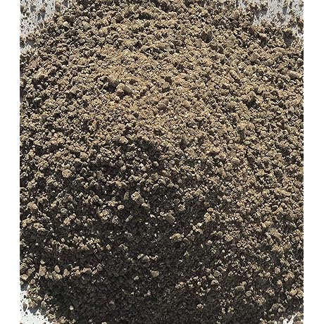 TOULIFLY Quail Feed Premium All Natural Game Bird Formula