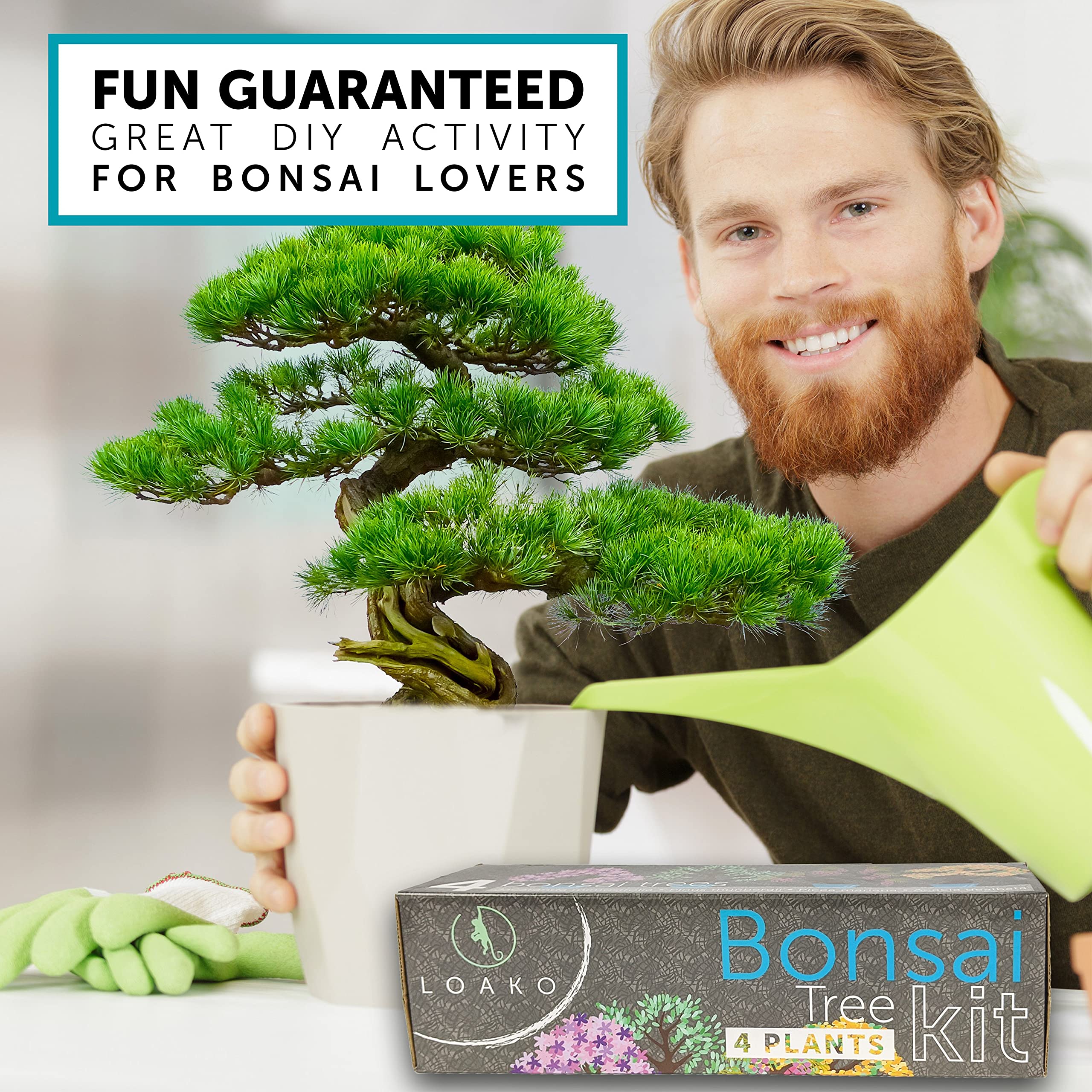 Bonsai Tree Seed Starter Kit Complete Growing Kit Grow 4 Bonsai