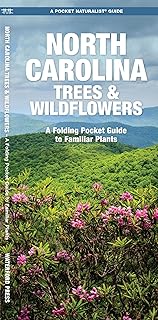 North Carolina Trees & Wildflowers (Nature Observation North America)