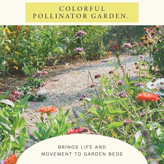 Sereniseed Hummingbird Wildflower Mix Seeds (2 oz)