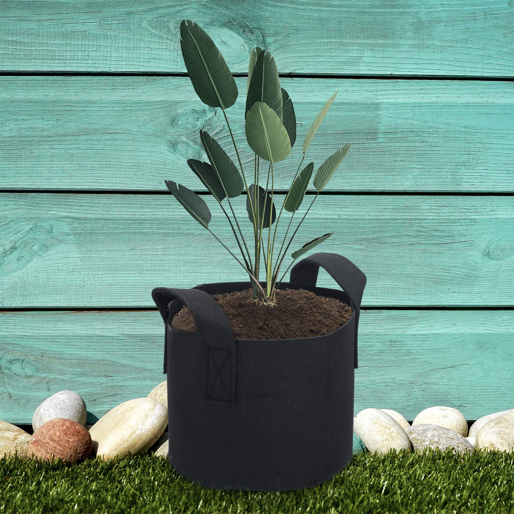 Intirilife 10x Sac de plantation en tissu non tissé 26 litres -7 Gallon- 35 x 30 cm - Cache-pot de plantes avec poignées pour jardin, serre - Bac de plantation Sac de plantation Sac de pommes de terre