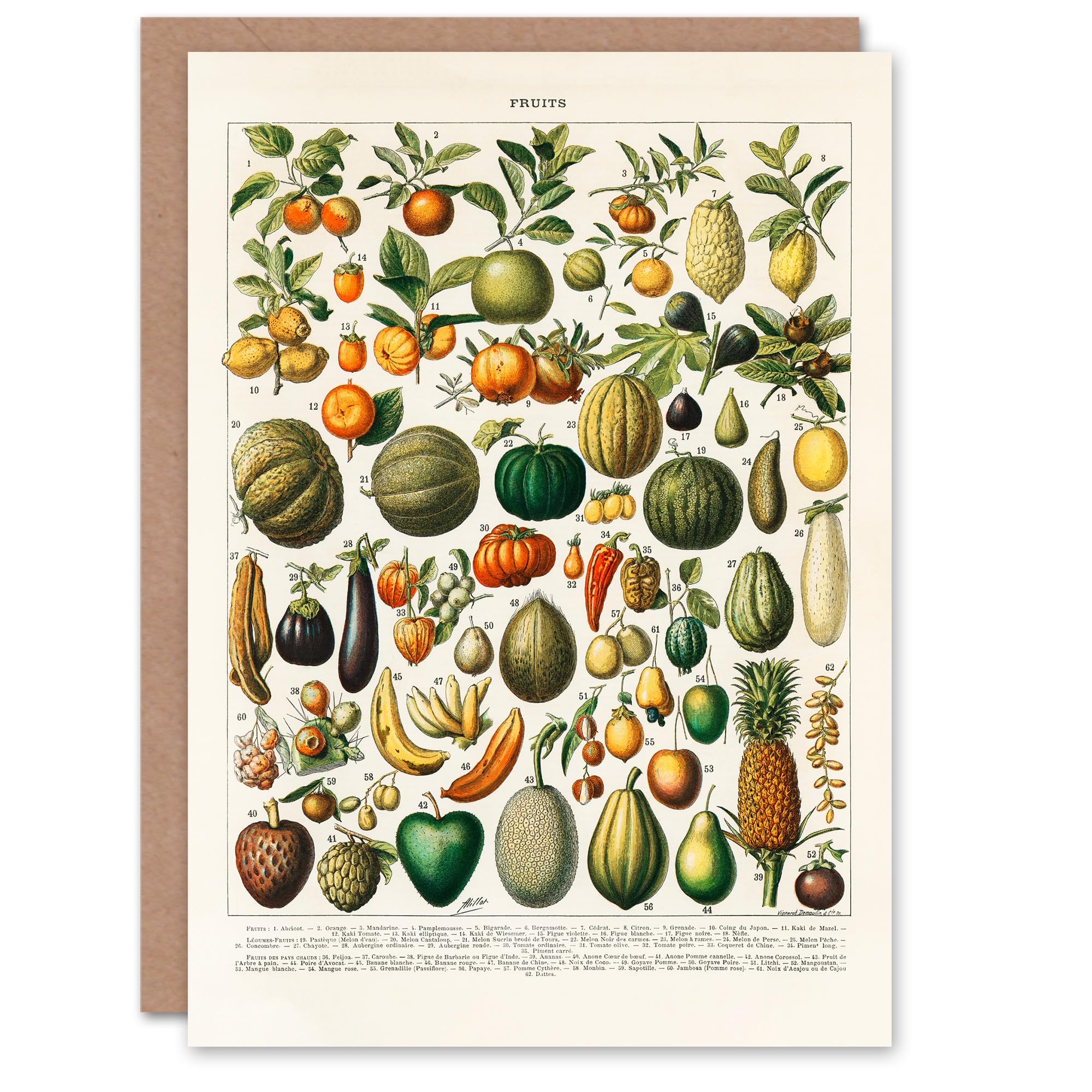 Artery8 Nouveau Larousse Illustre Art Card Fruits and Vegetables