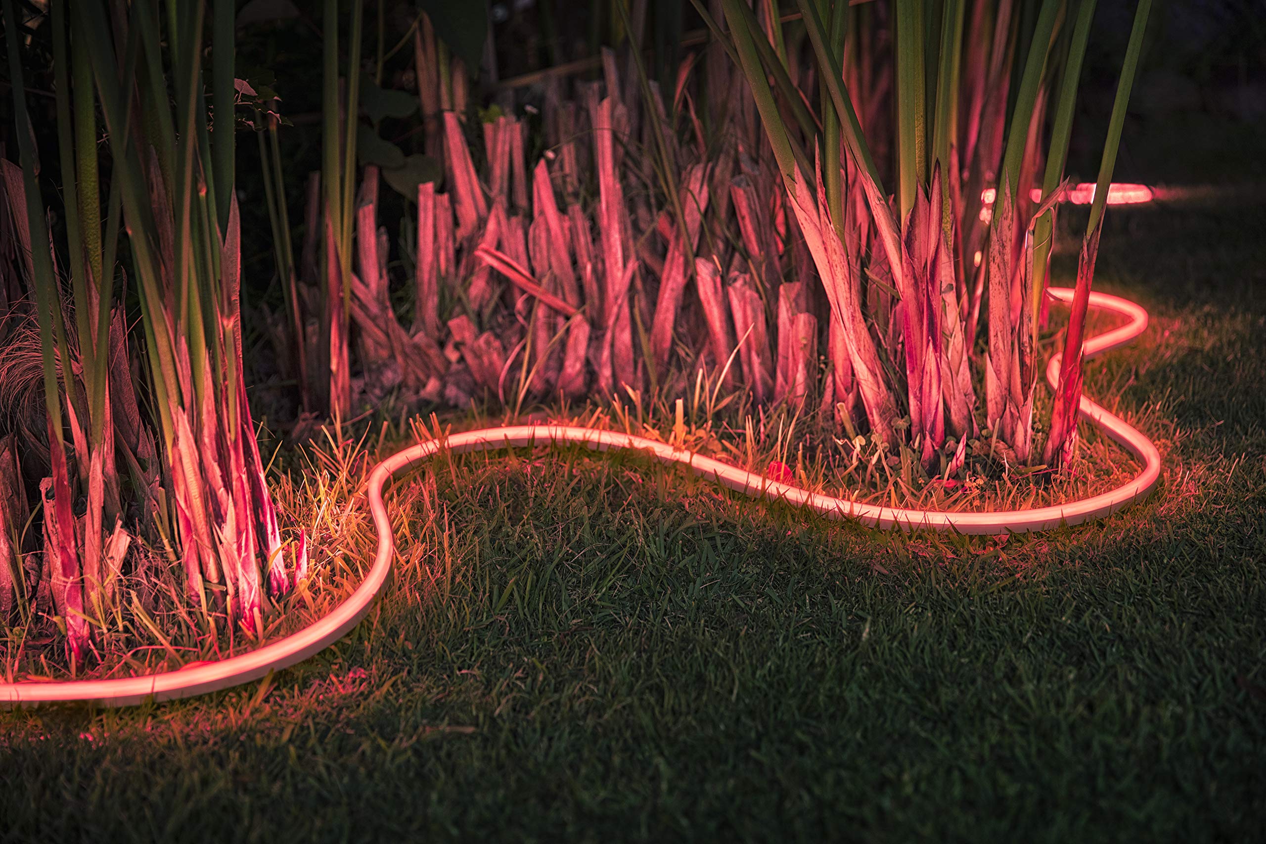 Philips Hue White and Color Ambiance LED Outdoor Lightstrip, 5 Meter, 1600lm, dimmbar, komplett wetterfest, 16 Mio. Farben, steuerbar via App, kompatibel mit Amazon Alexa (Echo, Echo Dot)