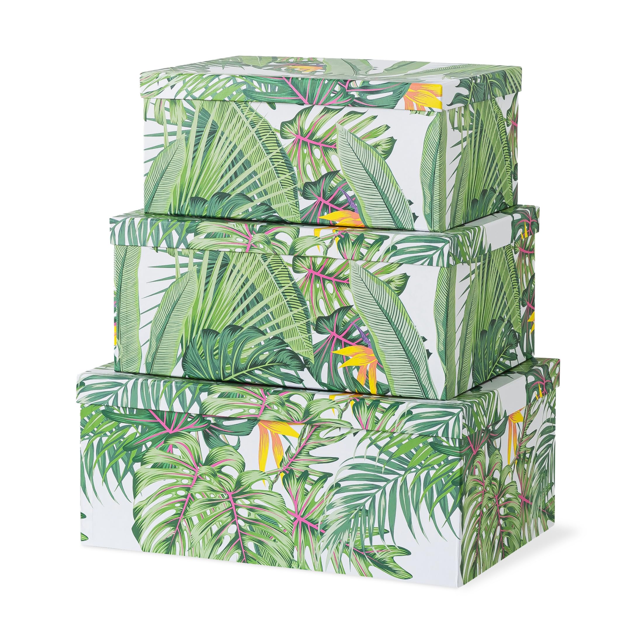 Soul & Lane Decorative Storage Cardboard Boxes with Lids | Tropical Breeze - Set of 3 | Green Jungle Leaves Paperboard Nesting Boxes