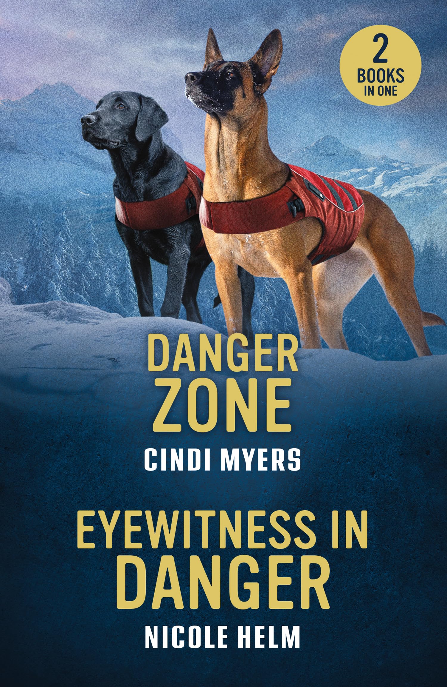 Danger Zone / Eyewitness In Danger: 2 heart-pounding romances perfect for fans of K-9 partners, catching kidnappers and love in uniform in 2026!