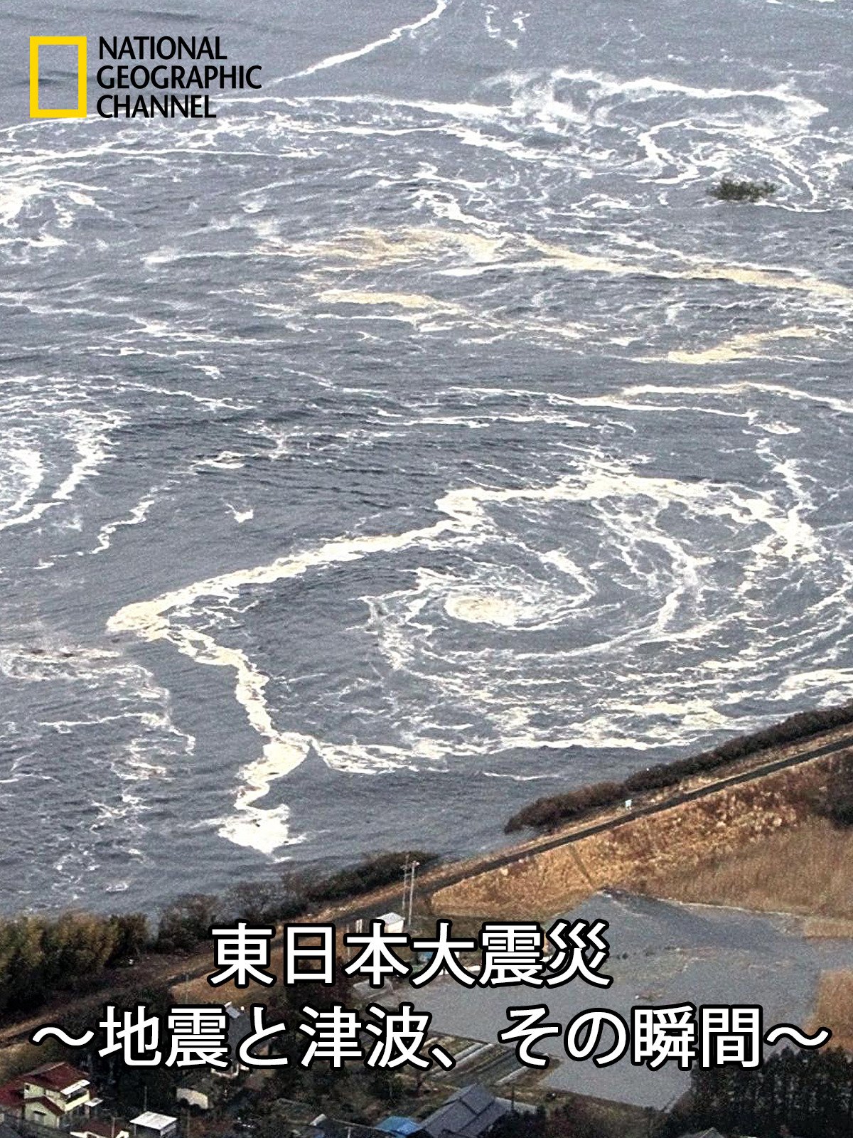 Amazon Co Jp 東日本大震災 地震と津波 その瞬間 Prime Video