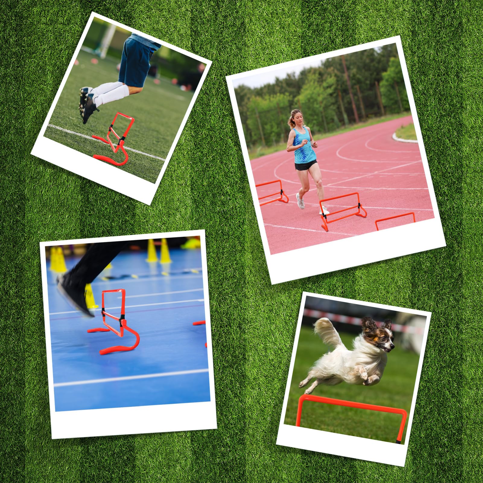Cocoarm 5er-Set Koordinationshürden Speed Agility Training Hürden Höhenverstellbar 15cm/22cm/28cm/36cm Trainingshürden Fußball Training Beweglichkeits Koordinationstraining für Kinder