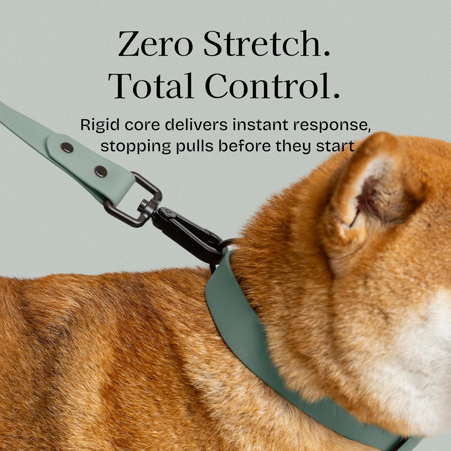 Fei & Eve Waterproof Dog Leash - 4FT, Odor-Free PVC Material, Easy to Clean, 360° Swivel Hook, Suitable for Small, Medium & Large Dogs, Glacier Green