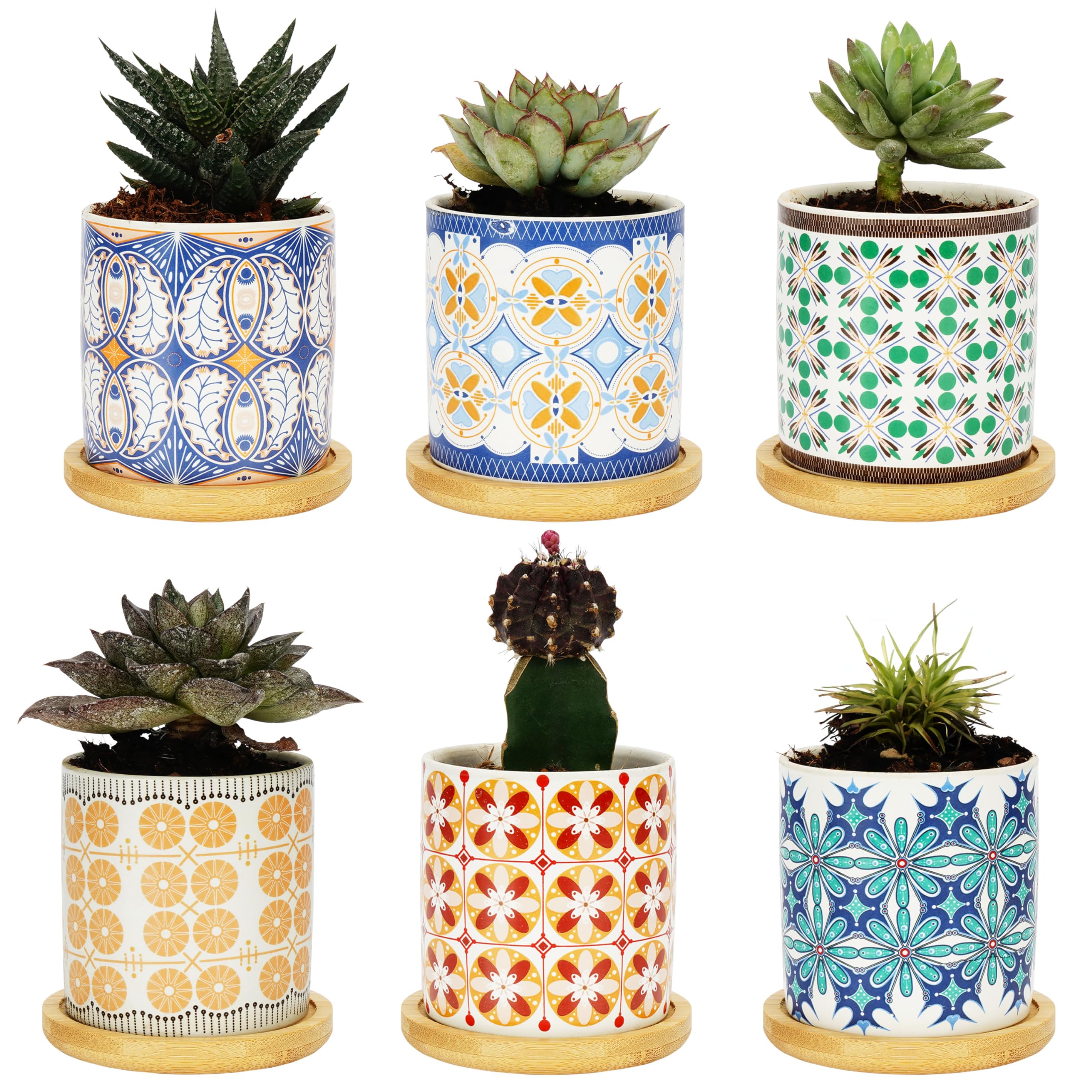 BELLE VOUS Vasetti per Piantine - Vasai Ceramiche per Piante Grasse - Decorazione Casa Ufficio con Sottovasi in Bambù e 