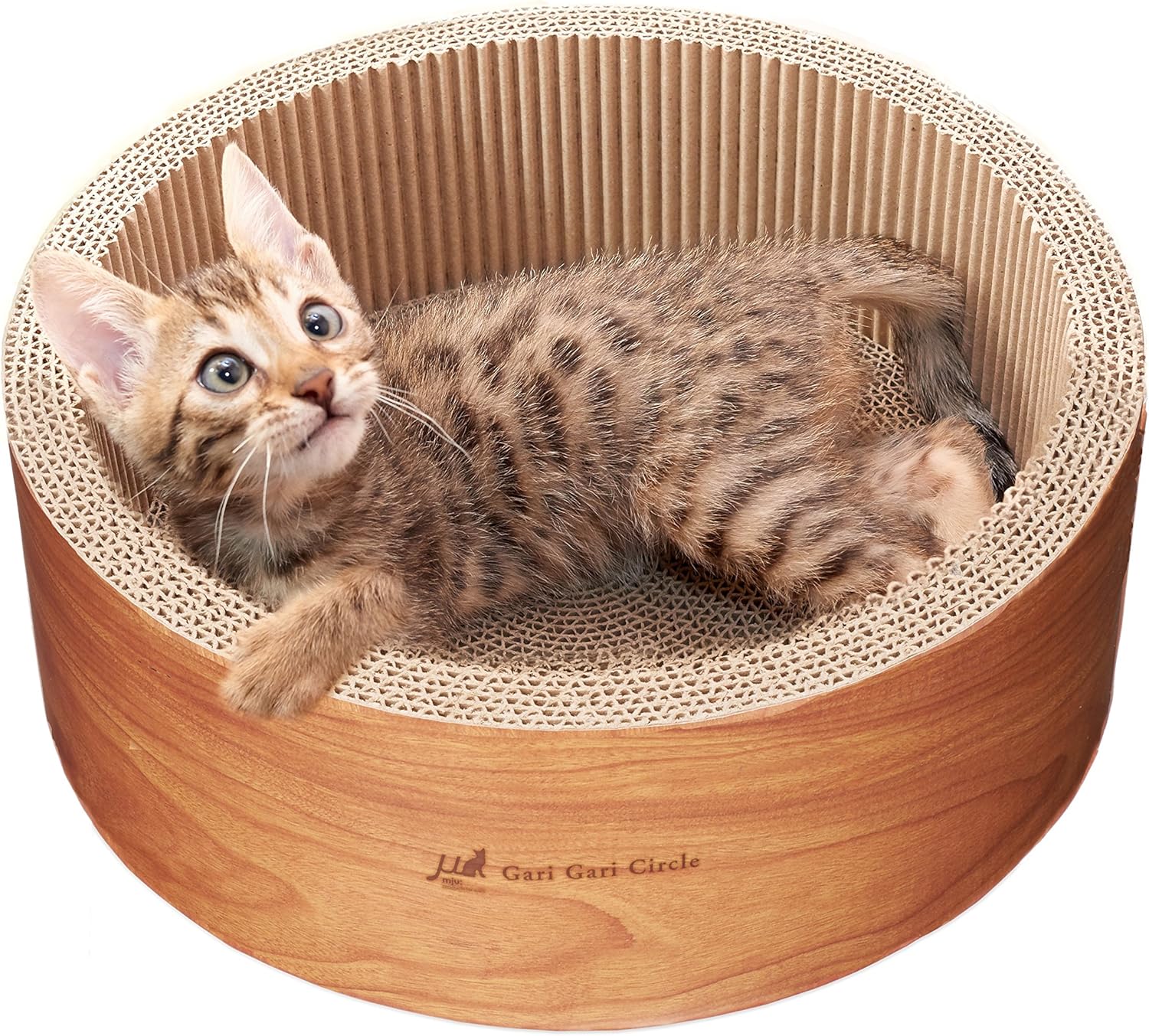 ガリガリサークル スクラッチャー