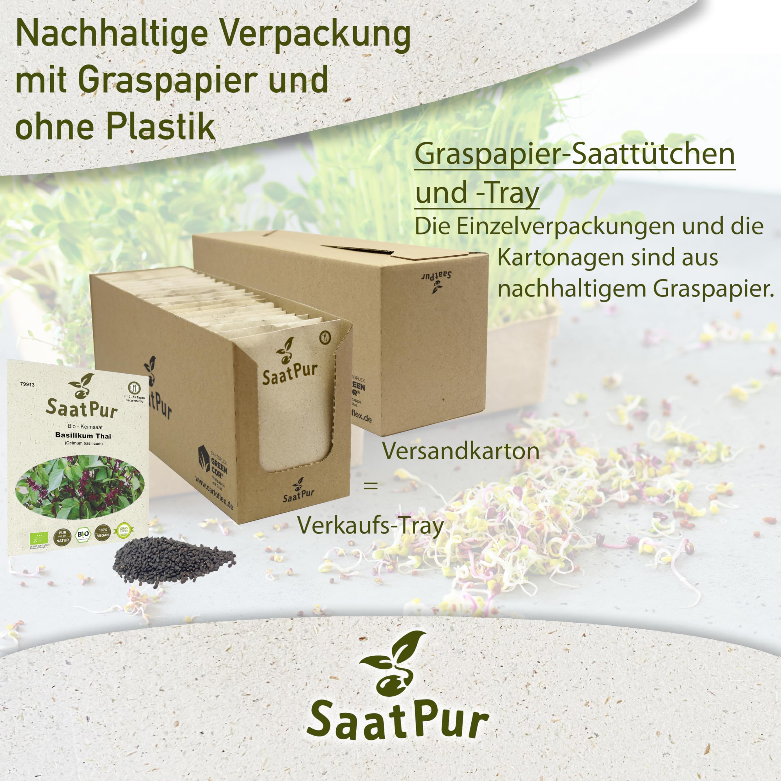 Bio Sprossen Samen Basilikum Thai - 100% Bio Keimsprossen - Microgreens mit hoher Keimkraft - Großes Tray mit 100 Portionstüten je 5g