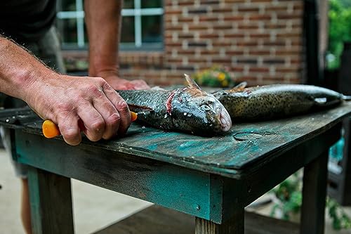 Miniatura 7 de ULTRASOURCE Cuchillo deshuesador, hoja curvaflexible de 5 pulgadas, mango de polipropileno