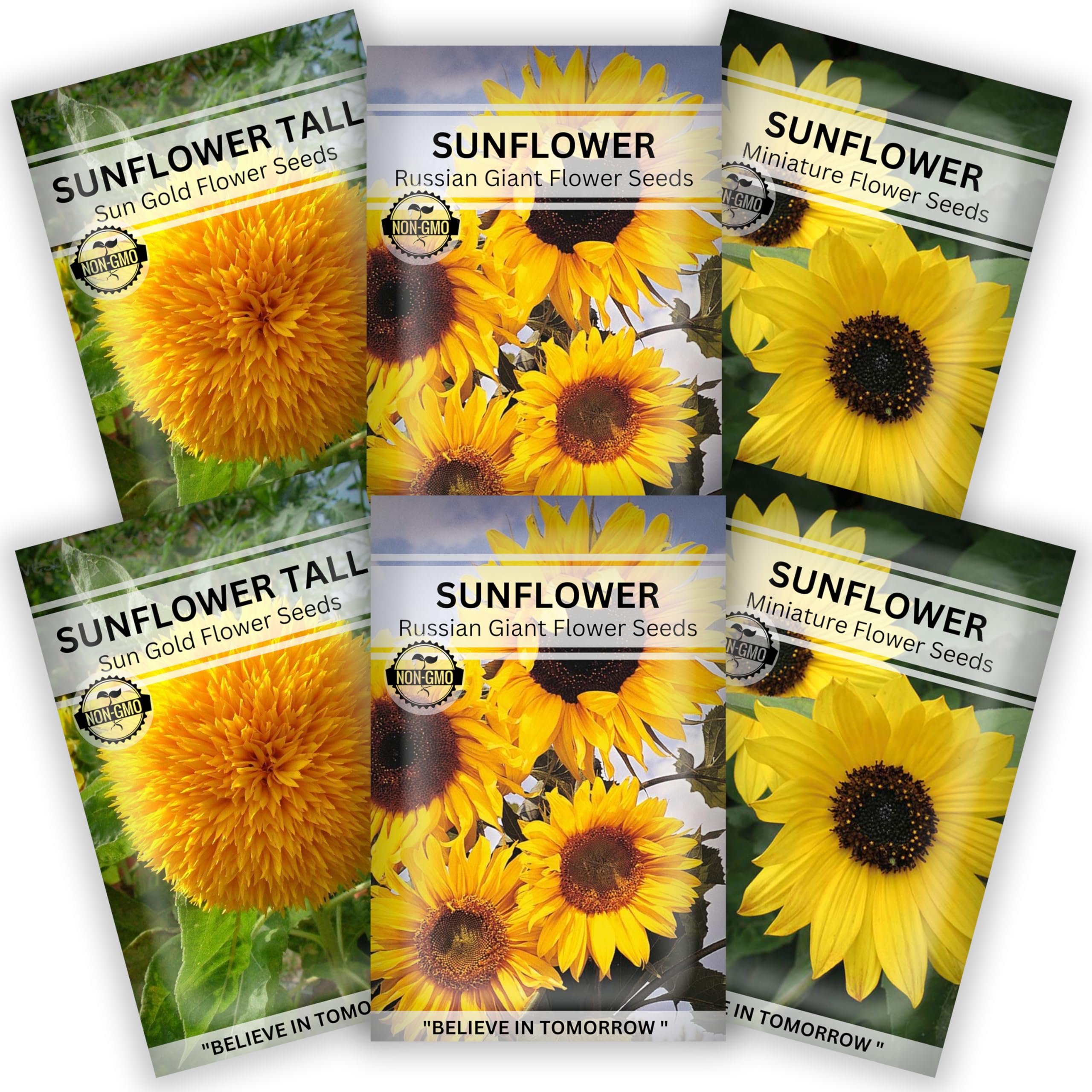 Summer Flower Seeds Combo for Home Gardening, Backyard & planting | Sunflower Russian Giant, Sunflower Miniature & Sunflower Tall Flower Seeds | Sunflower Seeds For Planting | Free E-Book (Pack of 6)