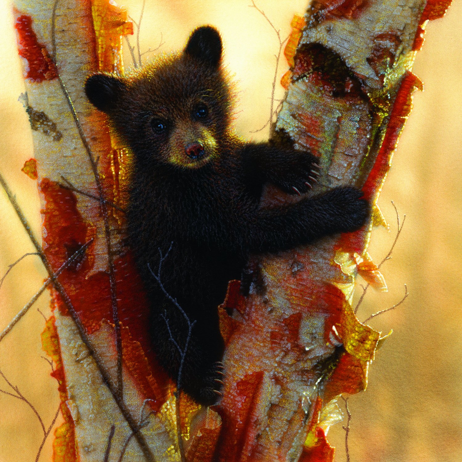 Curious Cub 500 pc Jigsaw Puzzle