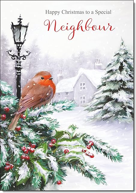 doodlecards Neighbour Christmas Card Robin by Lamp Medium Size with Plain Red Envelope