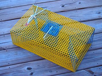 Baitfish & Pinfish Traps Durable Wire Fishing Traps Multiple Mesh Sizes, Trap Sizes & Buoy Kit Options