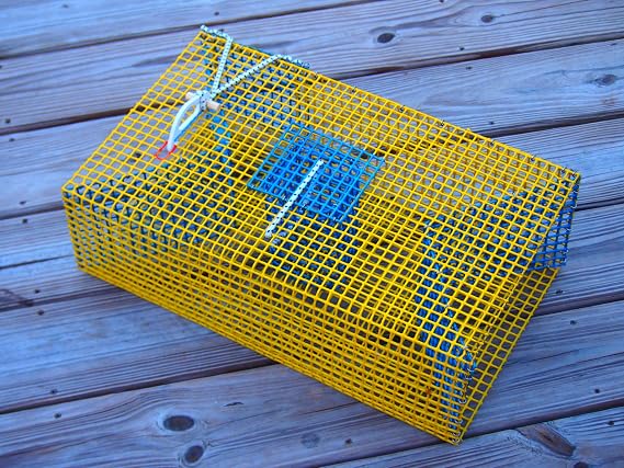Baitfish & Pinfish Traps Durable Wire Fishing Traps Multiple Mesh Sizes, Trap Sizes & Buoy Kit Options