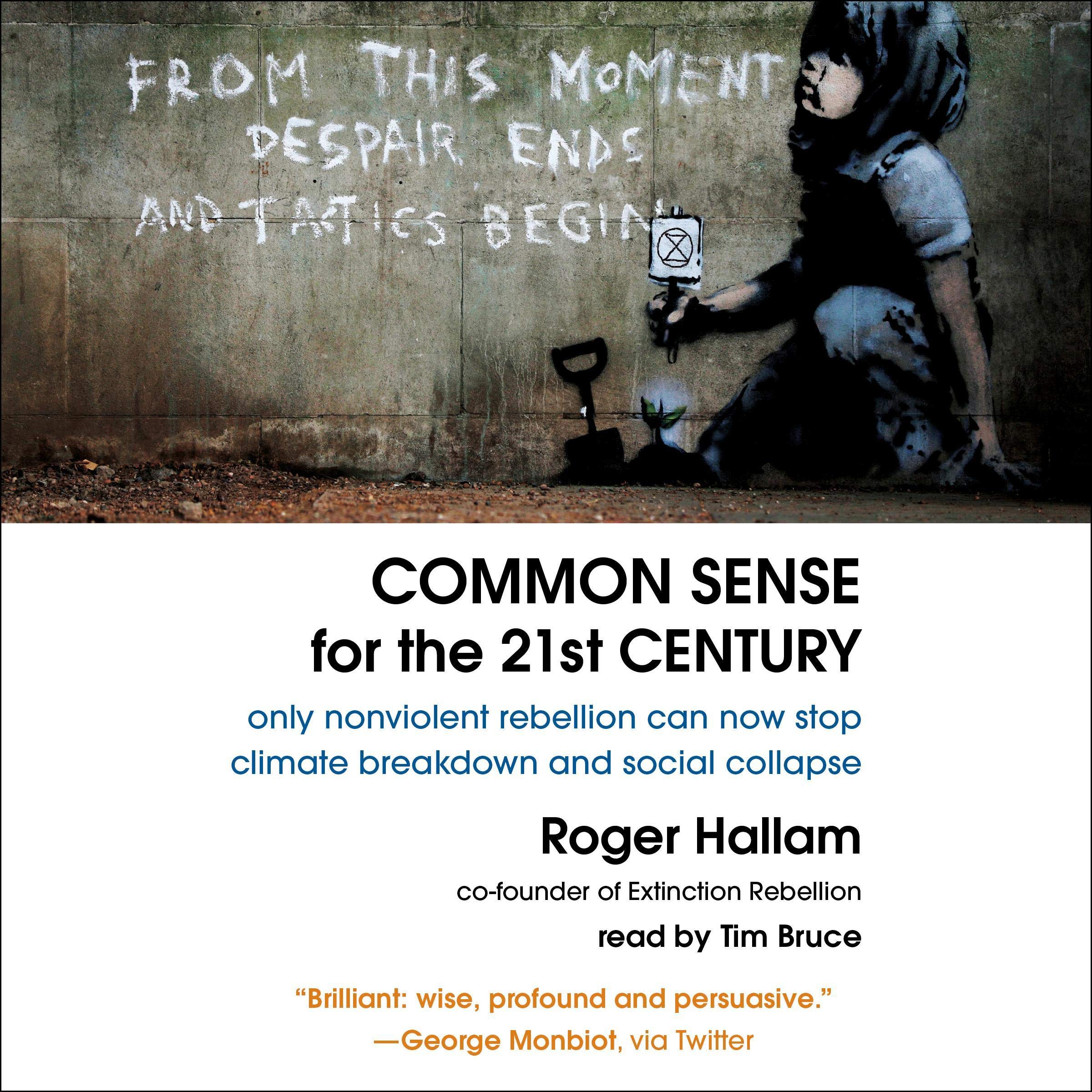 Cover art for Common Sense for the 21st Century