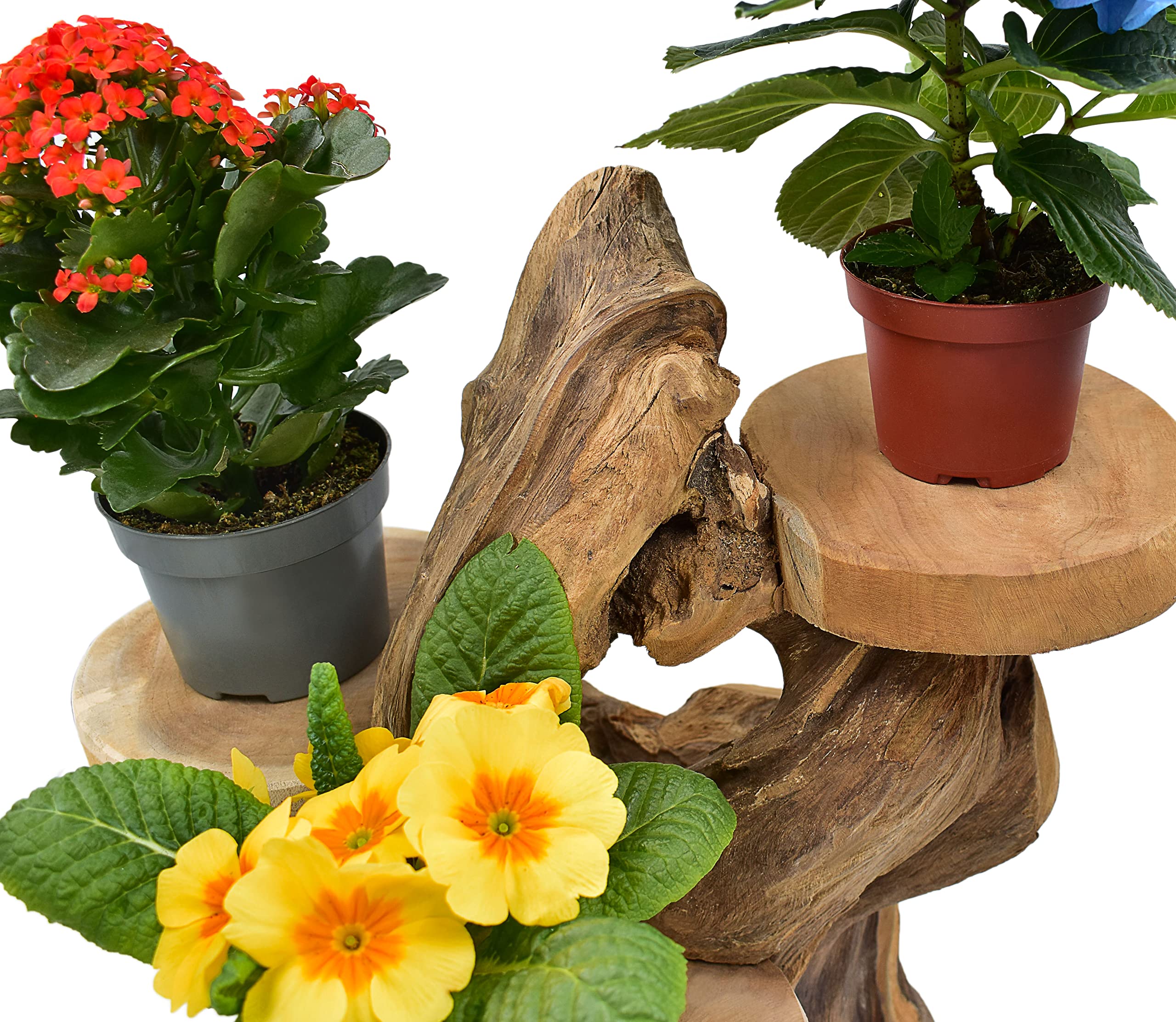 Teak Blumenständer mit 3 Ablagen Blumenpodest Pflanzentreppe Blumenregal Ständer Blumenhocker Massiv Holz Podest Regal