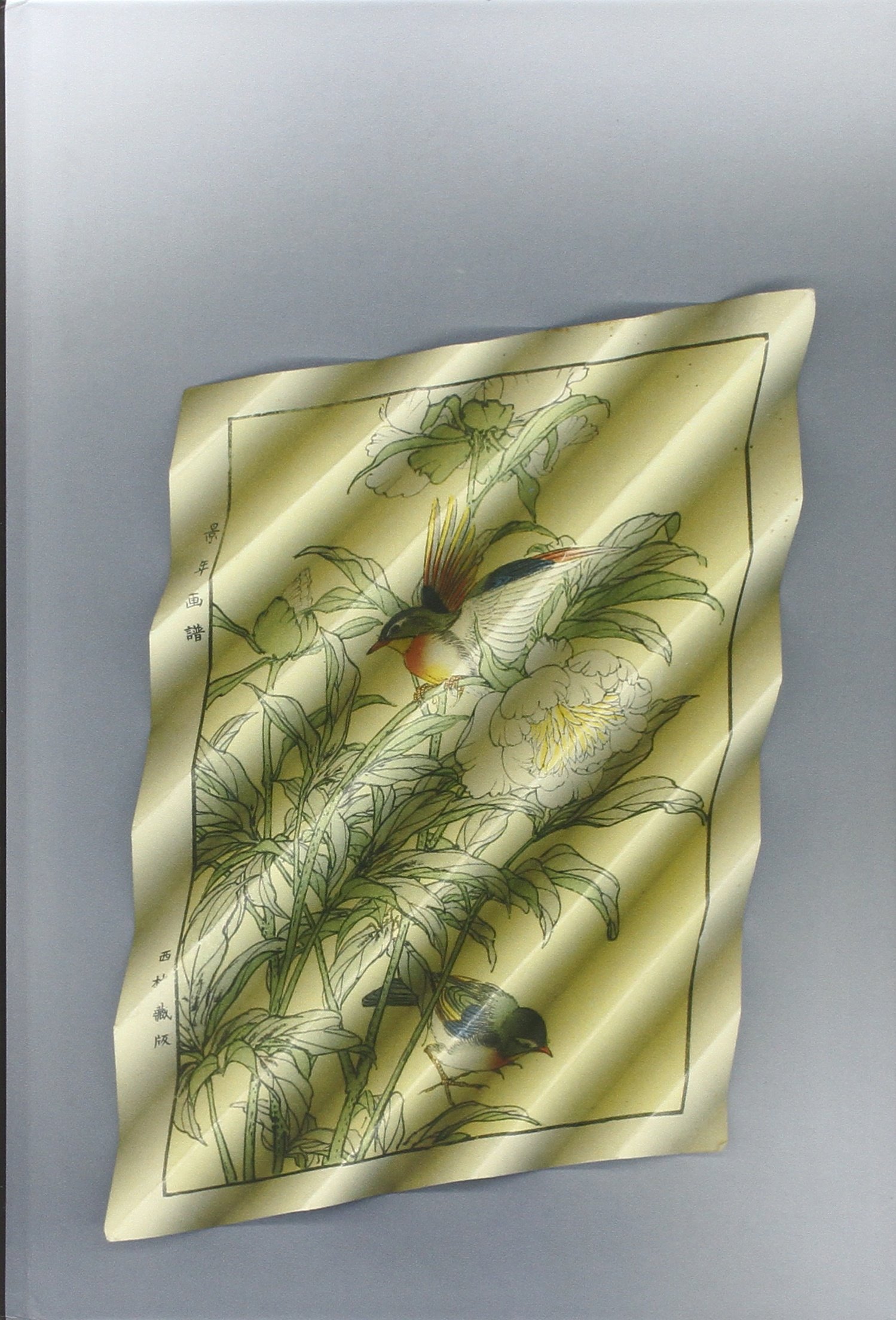 Stefano Arienti: The Asian Shore monographie d'art premium pour collectionneur exigeant