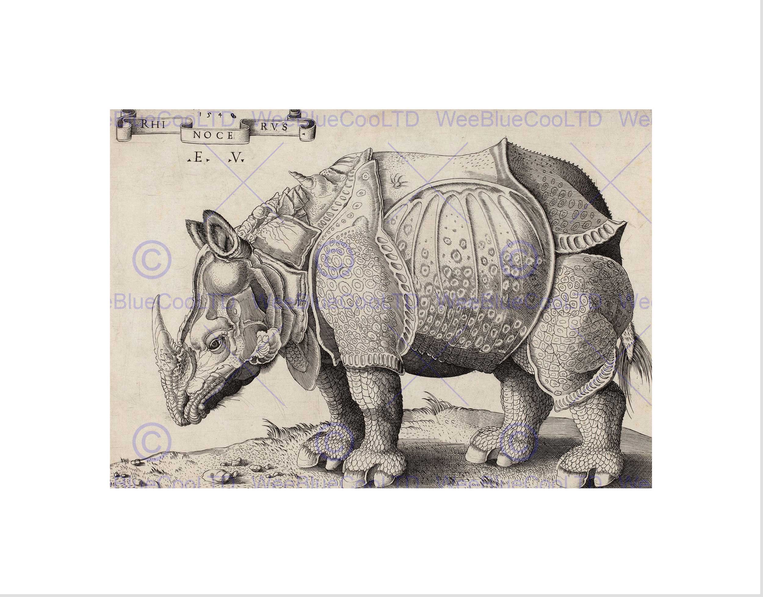 Wee Blue Coo Enea Vico Albrecht Durer Italian Rhinoceros Wall Art Print