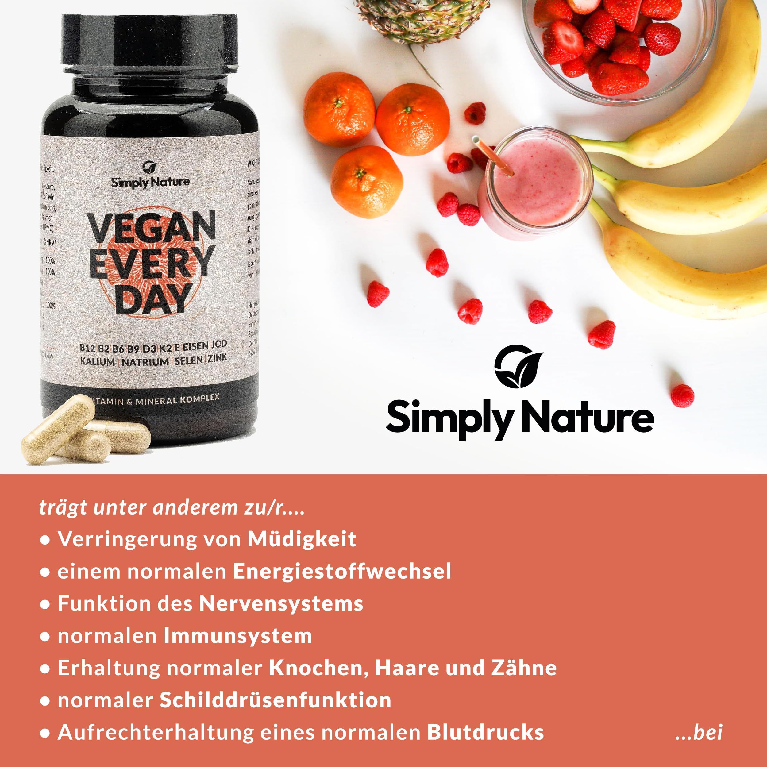Vegan Every Day - Multivitamin Mineralstoff Komplex- Hochdosiert - 120 Kapseln - Deutsche Qualität - Laborgeprüft - B12+B2+B6+B9 Folsäure+D3+K2+E+EISEN+JOD+KALIUM+NATRIUM+SELEN+ZINK (Packung mit 2)