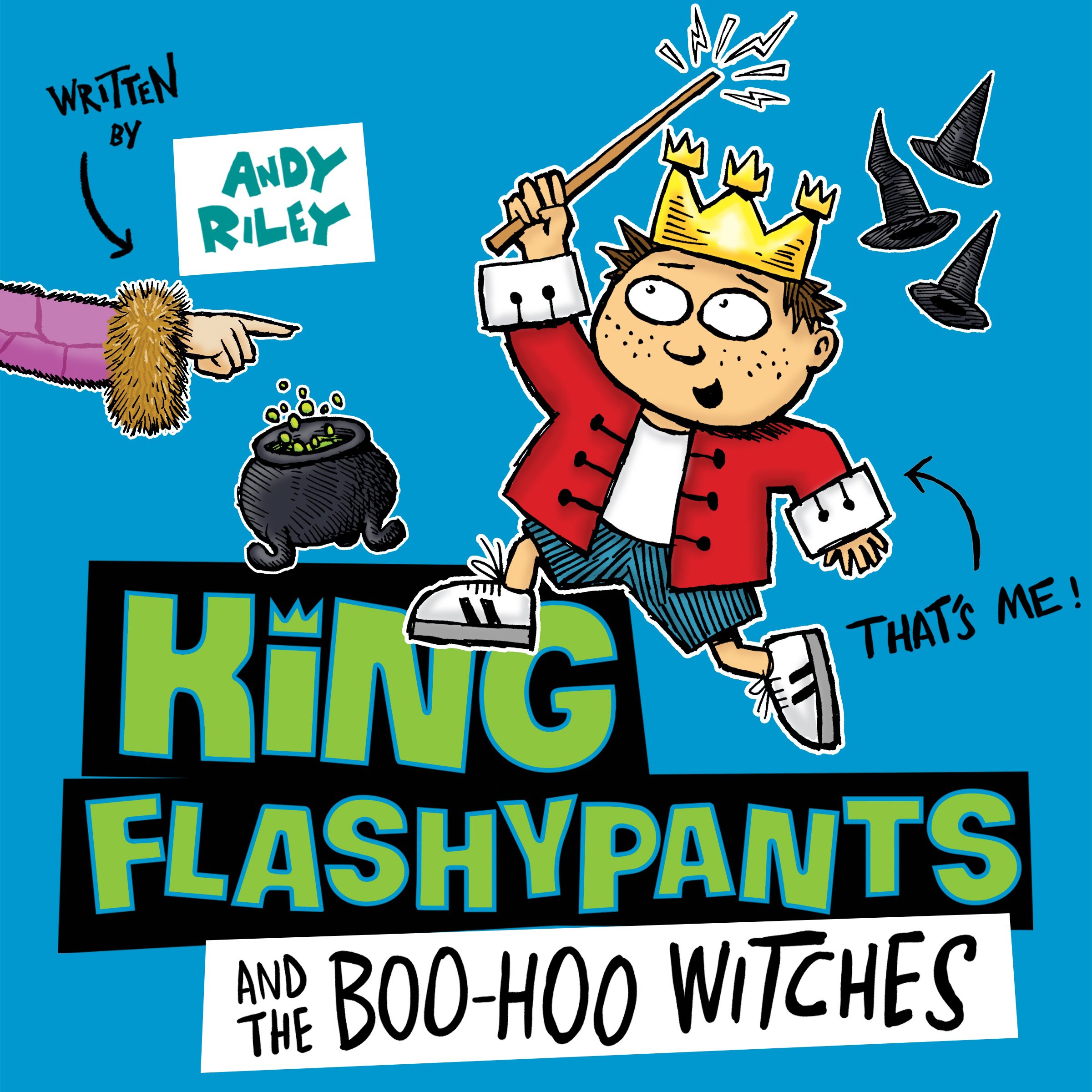 Cover art for King Flashypants and the Boo-Hoo Witches