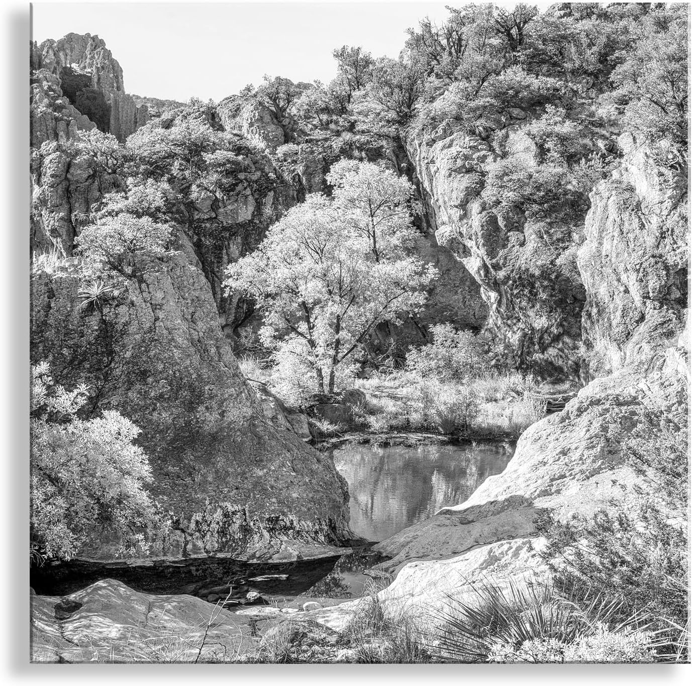 Black and White Arizona Desert Canyon Landscape Photograph at Mexico Border