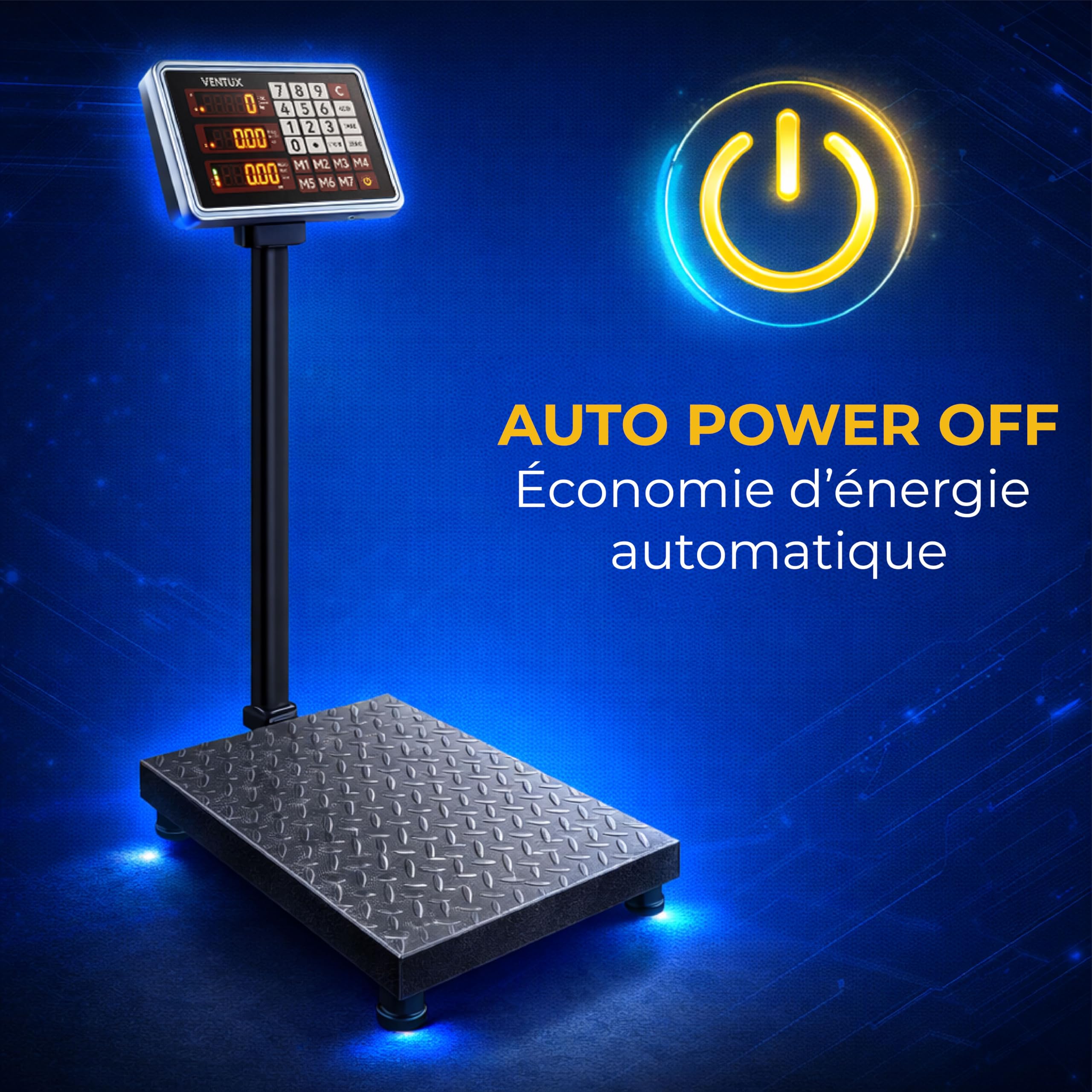Balance électronique 300 kg Division – 50 g LCD Mémoire prix | Écran séparé · Rétroéclairage · Double alimentation · Arrêt automatique · Conforme 2014/35/UE · ce