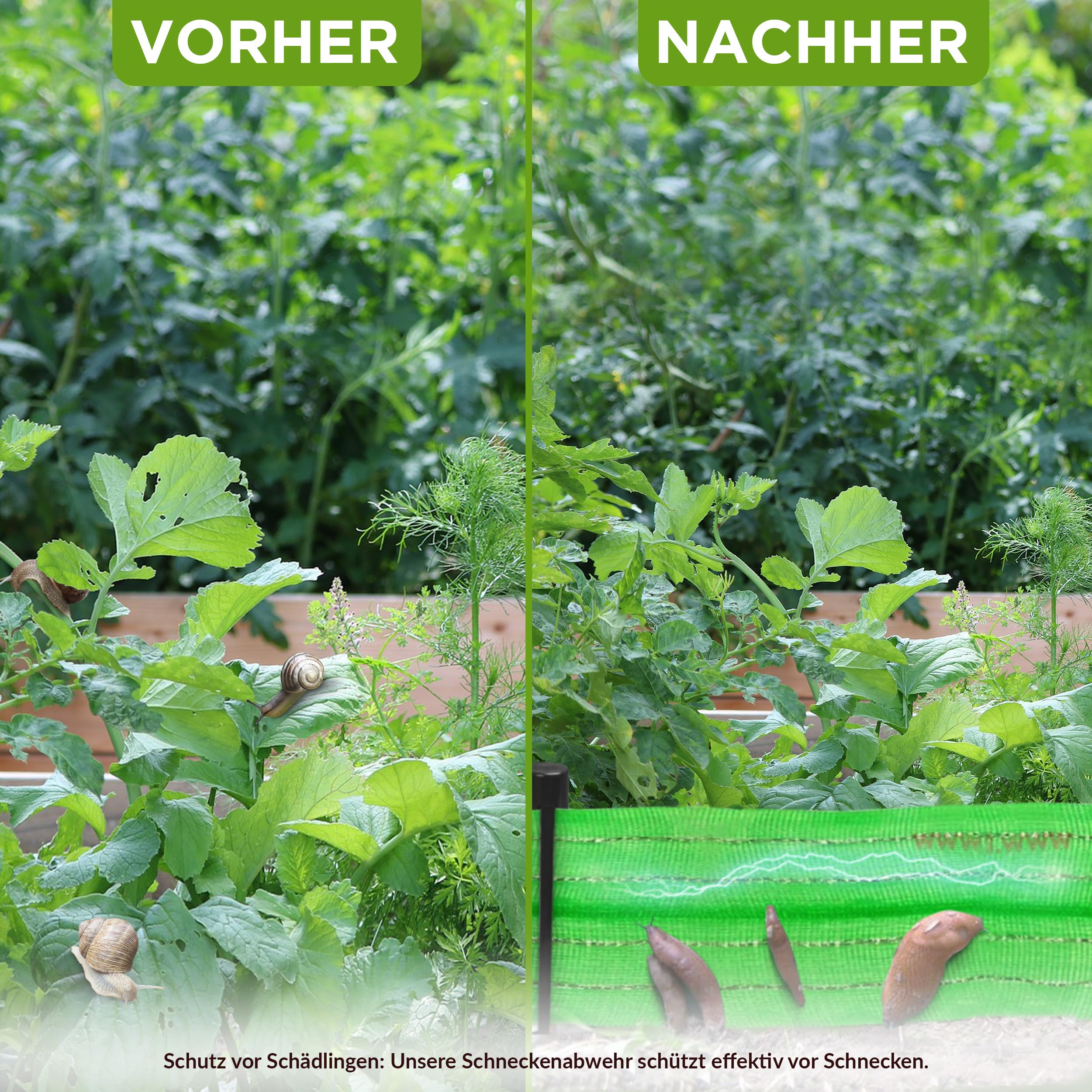 ISOTRONIC Schneckenzaun elektrisch 10m – batteriebetriebener Stromzaun zum Schutz vor Schnecken in Beeten & Hochbeeten – effektiver Schneckenschutz – umweltschonend & tierfreundlich – einfache Montage