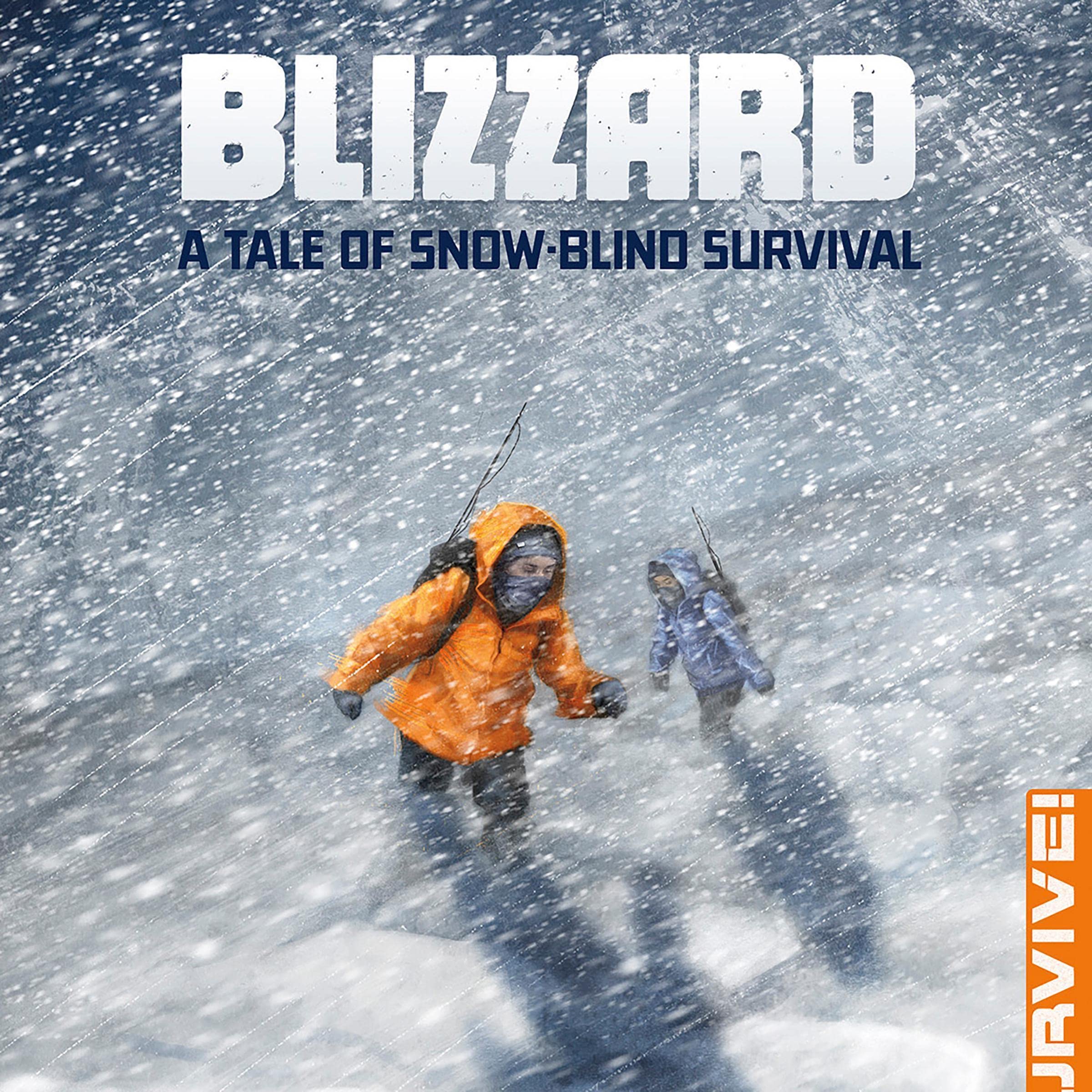 Cover art for Blizzard