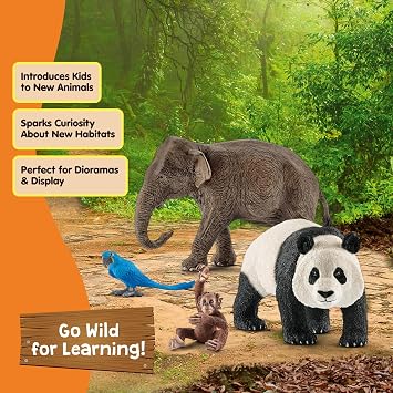 Schleich Wild Life - 25 PC Wild Animal Playset - Realistic Animal Bundle with Panda, Parrot, Monkey and Elephant Figurines - Treasure Box for Classroom Kids - Educational Toys for Children 3+