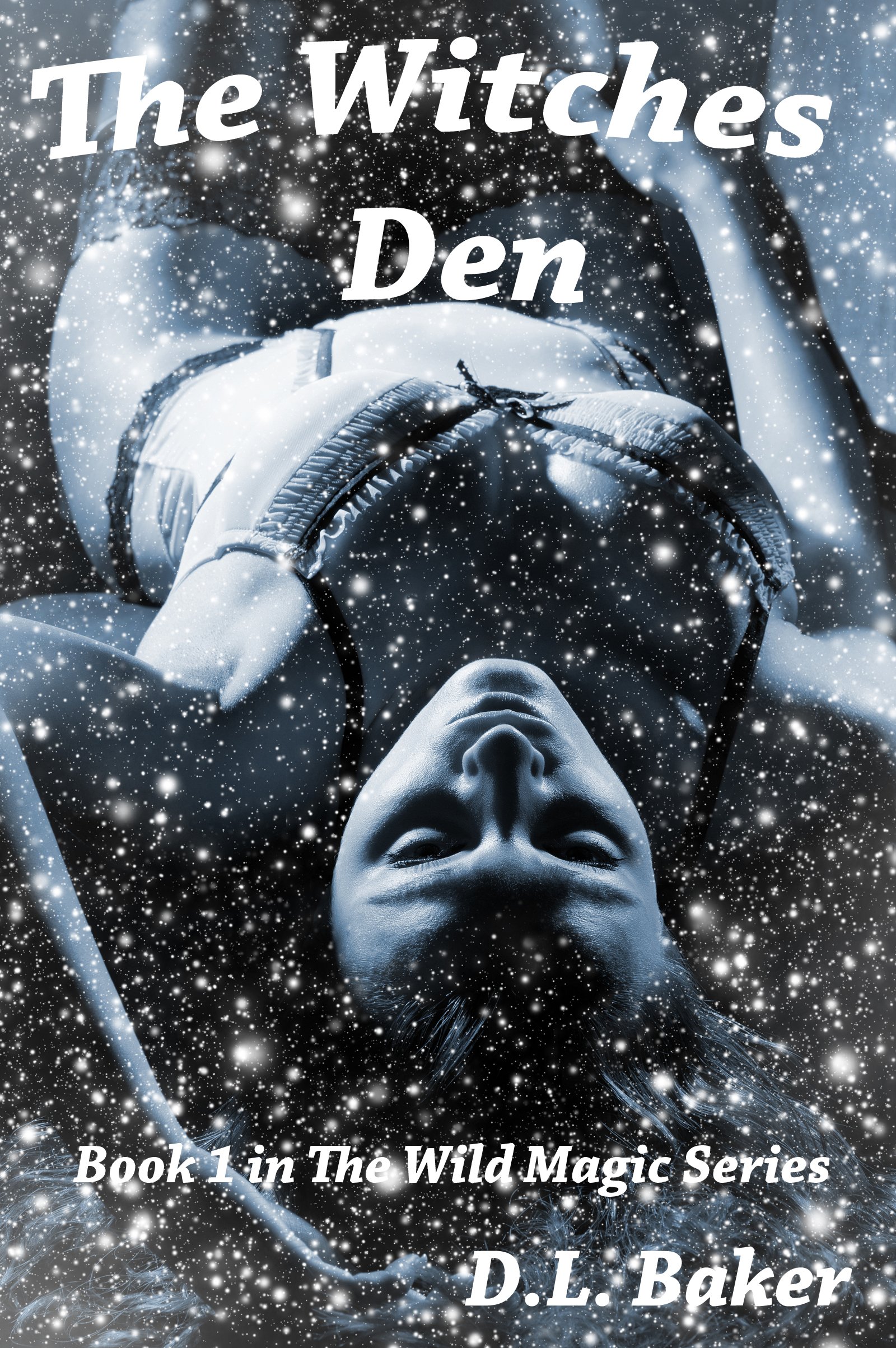 The Witches Den (Wild Magic Book 1)