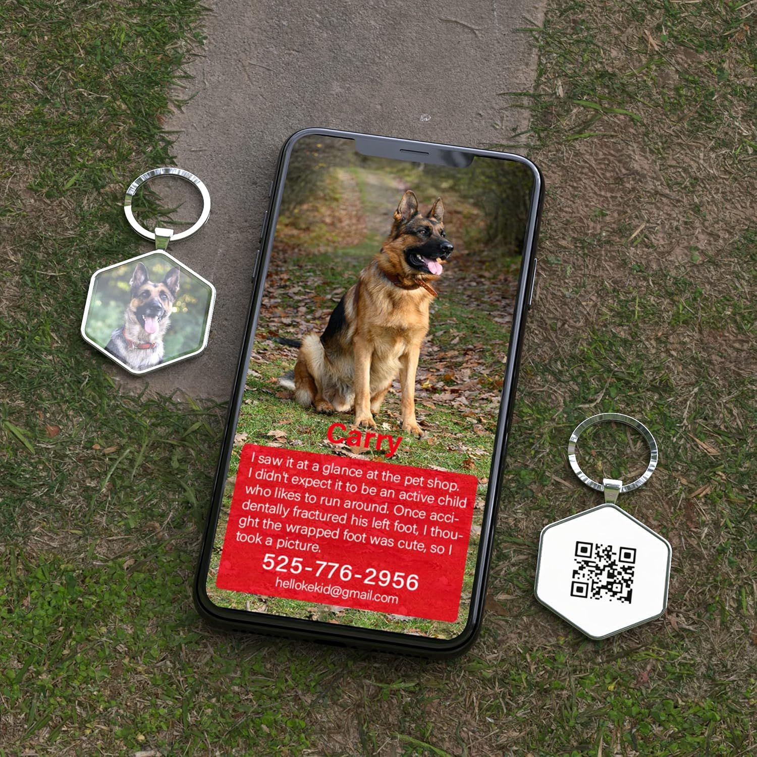 Buy KEKID Dog Tags Dog ID Tags Personalized Custom Dog Name Pet Tags